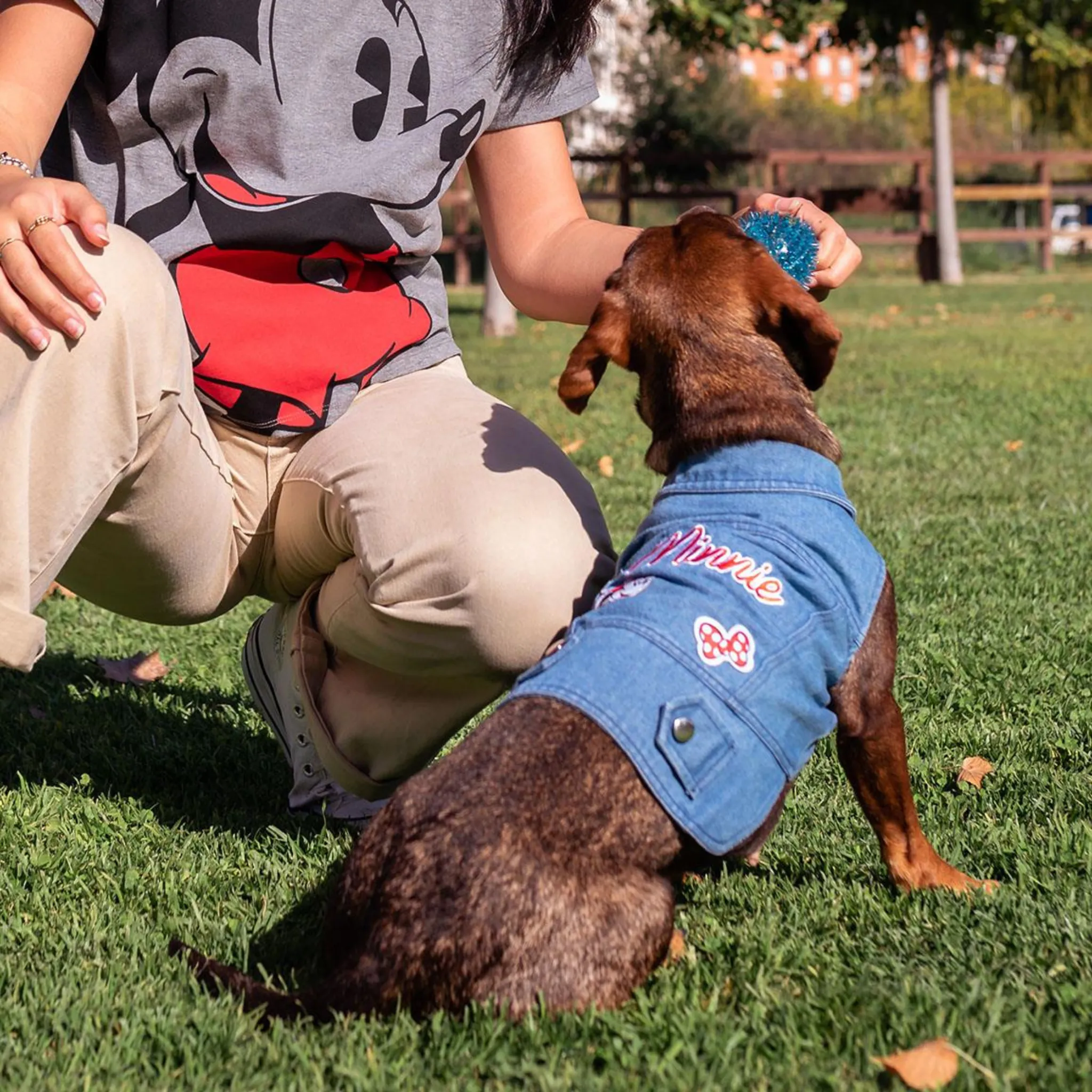 Minnie Mouse Dog Denim Jacket