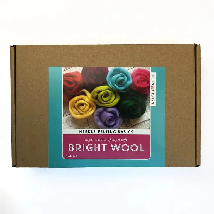 Needle Felting Starter Kit / Brights